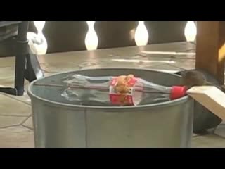 Мышеловка