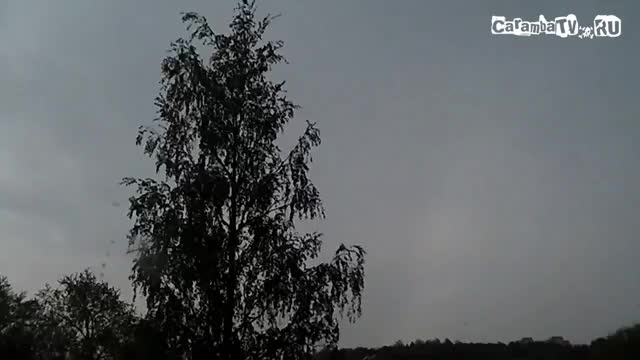 +100500 - Шаурма