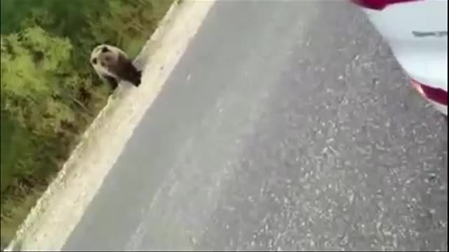 +100500 - Безудержное Веселье