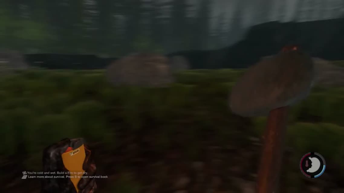 Остров с палаткой [The Forest] #13