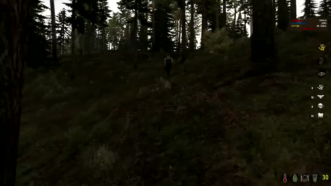 DayZ - Сражение