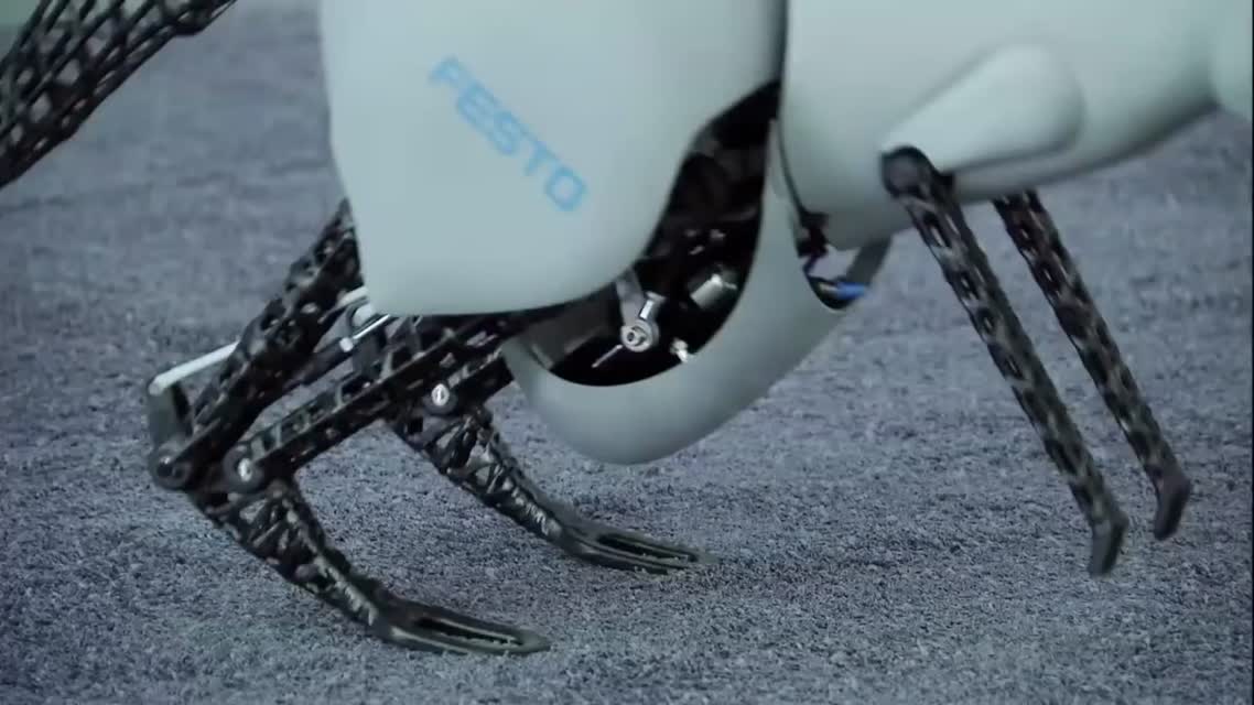 Кенгуру-робот от Festo
