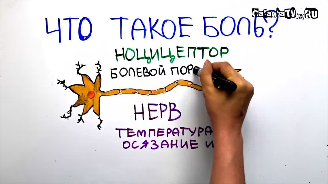 Научпок - Роды против удара по яйцам