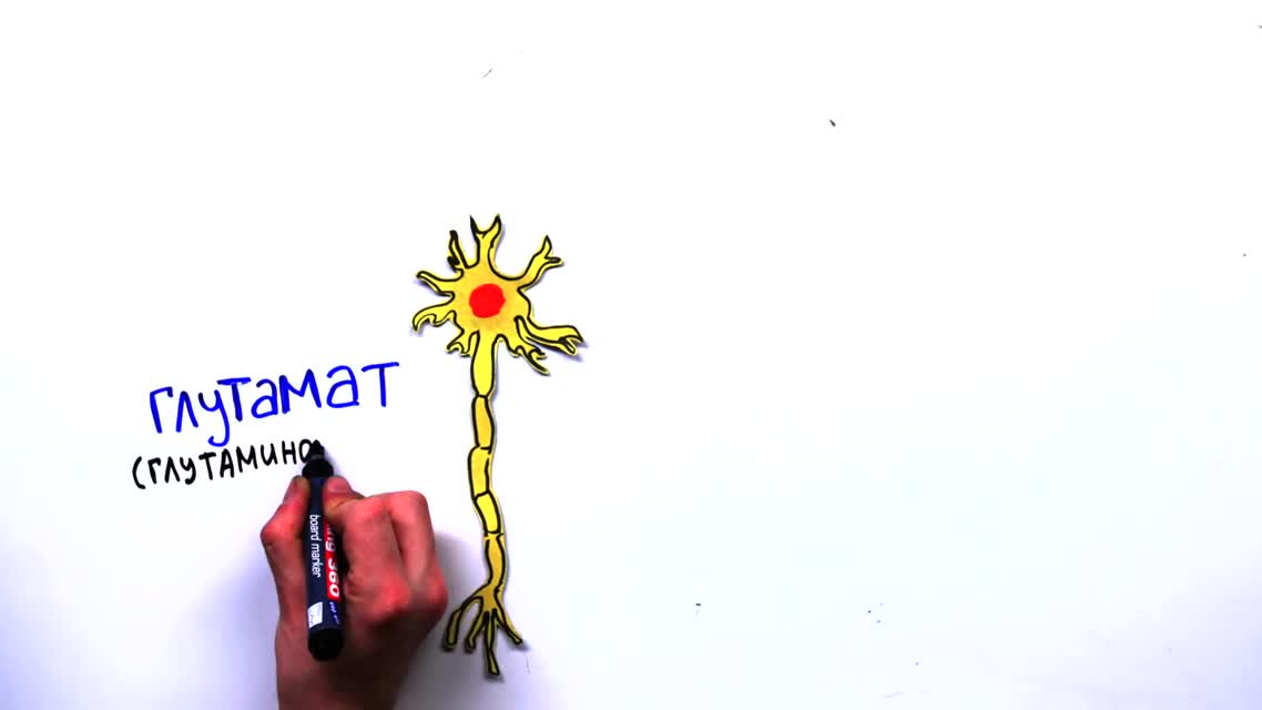 Научпок - Как алкоголь влияет на мысли