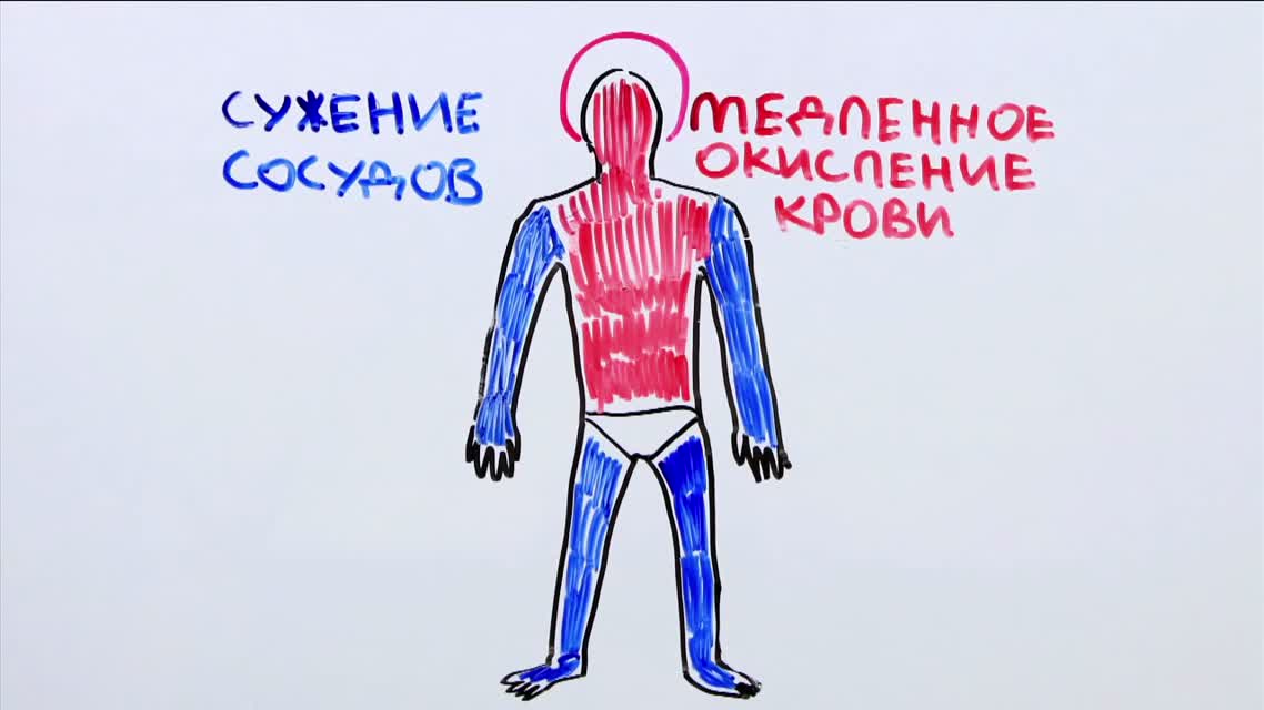 Научпок - Как долго можно задерживать дыхание
