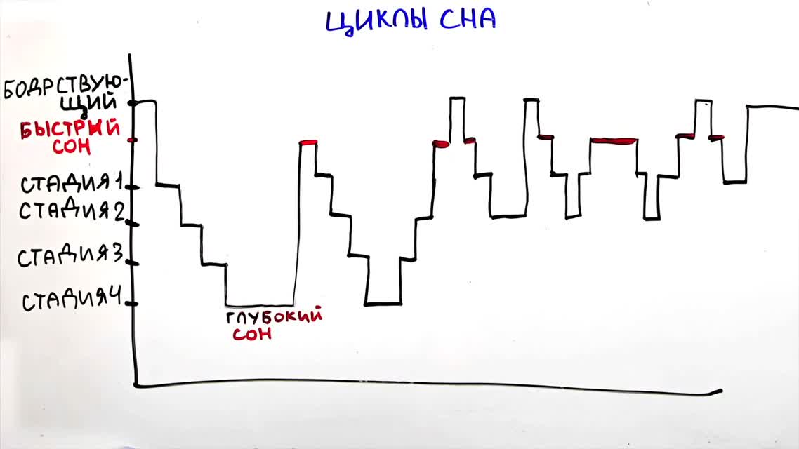 Научпок - Утренний стояк