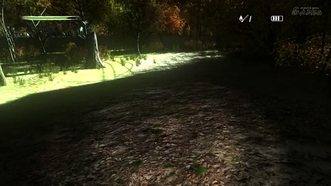 [Pineview Drive #12]