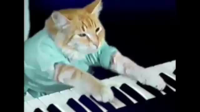 Enjoykin — Завтрашний День