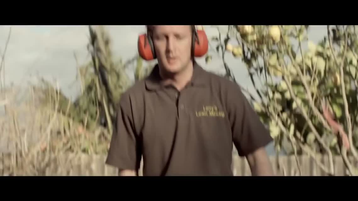 Живучий кот