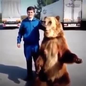Тима фак