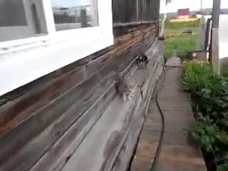 Зачем ходить кода тебя носят???
