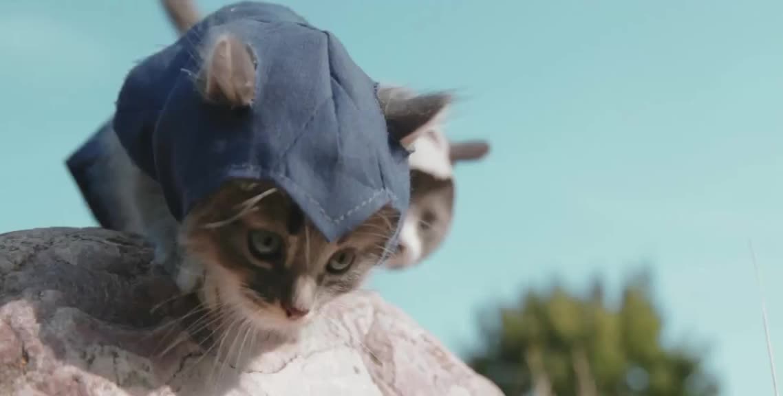Assassin's Kittens Unity