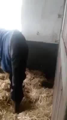 Взаимовыручка
