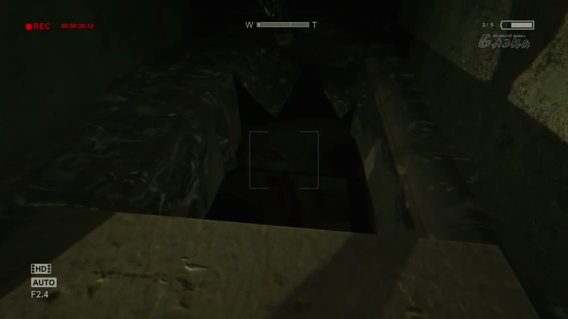 Outlast Whistleblower #3 [Истошно орущий в тумане]