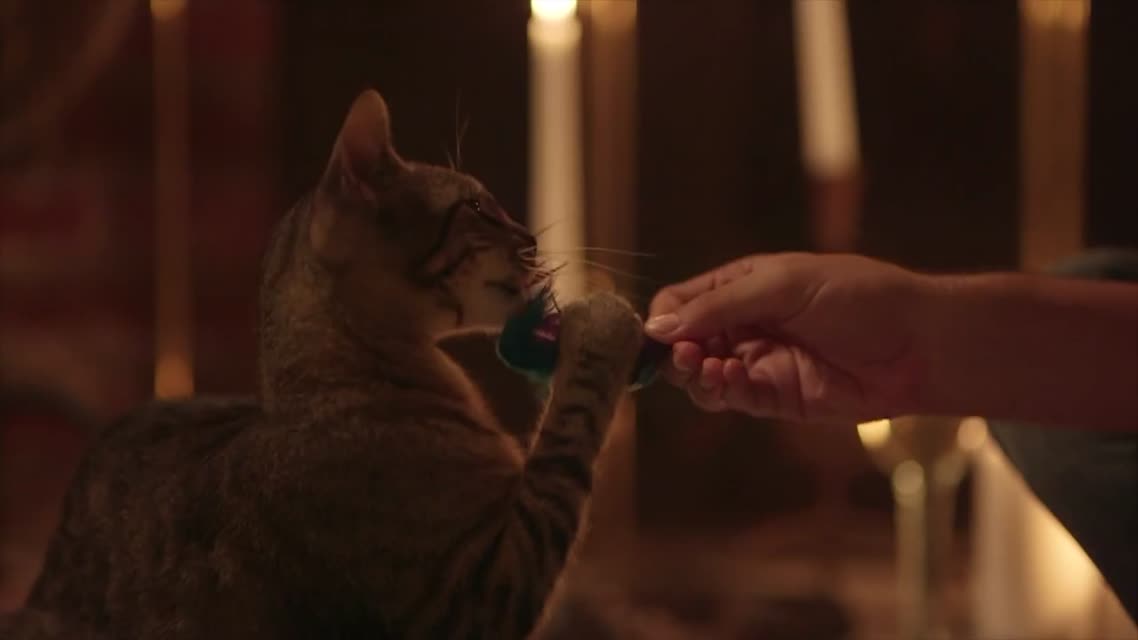 Meow Mix Song - Country Cat by J.R. Moore