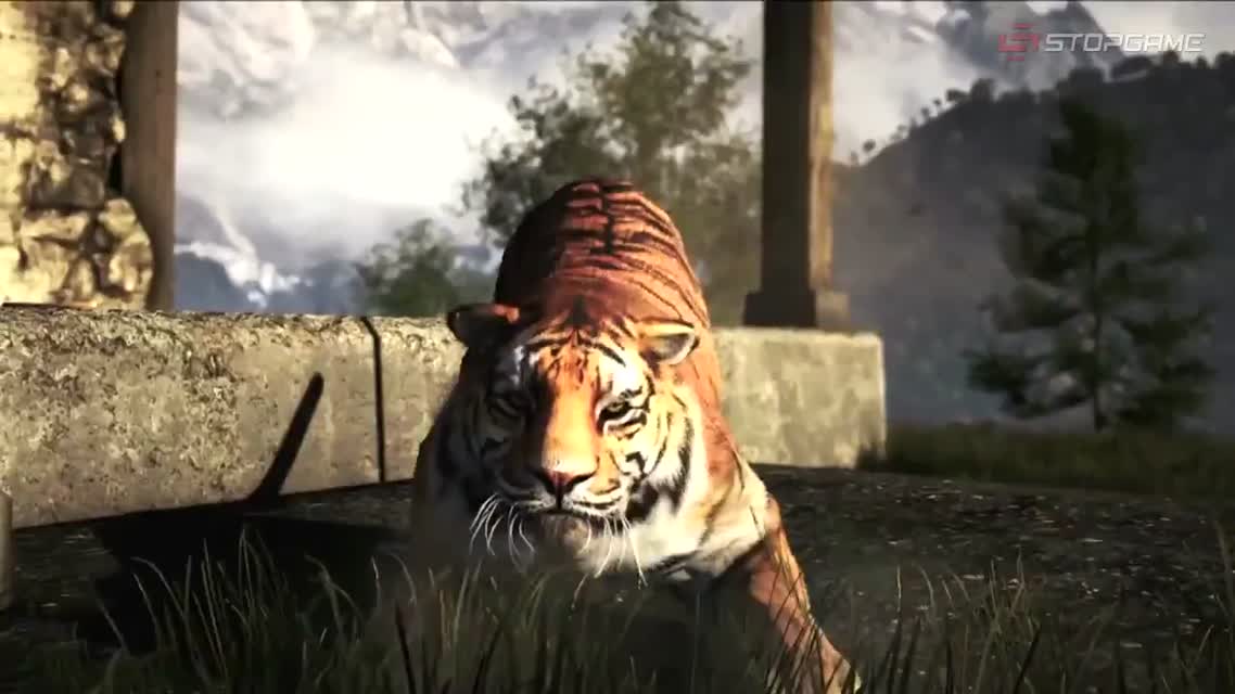 Превью игры Far Cry 4
