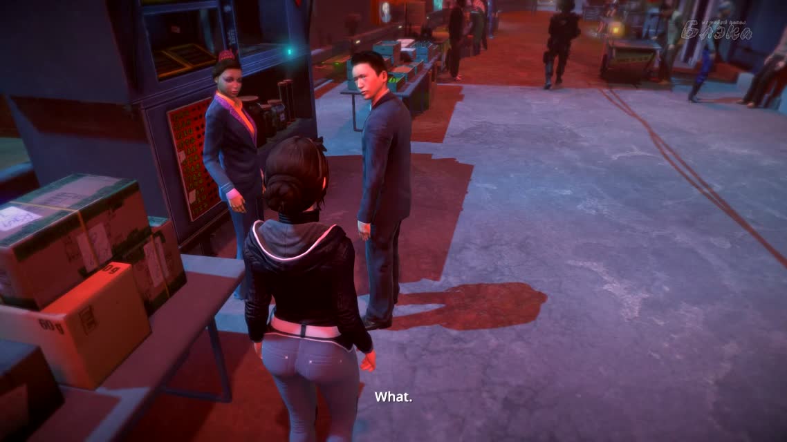 Финал [Dreamfall Chapters, Книга Первая] #5