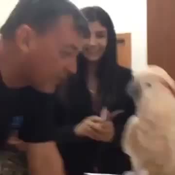 Попугай боится щикотки