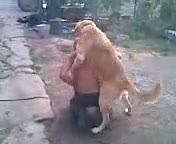 Необычная пара)))