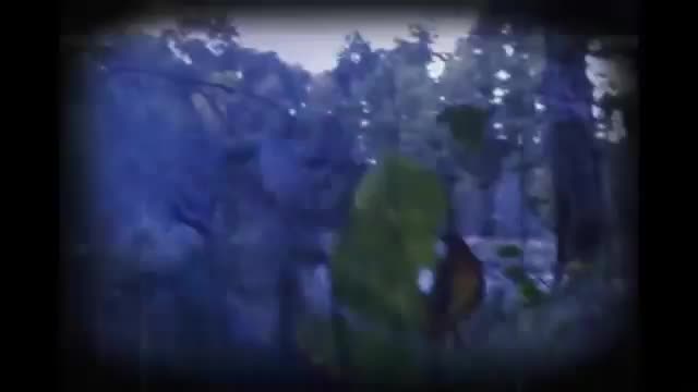 Summer Camp — трейлер анонса
