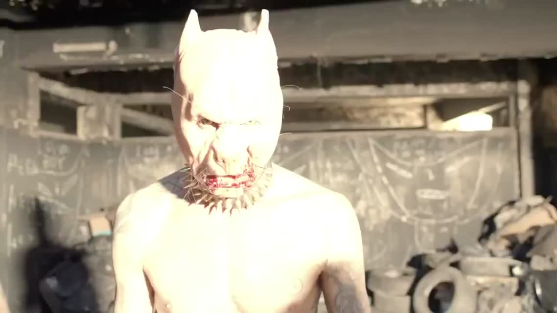 DIE ANTWOORD - PITBULL TERRIER