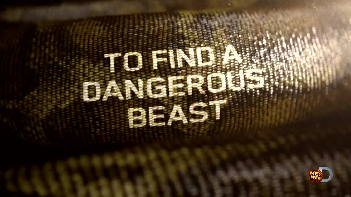 Eaten Alive Sneak Peek  Sun Dec 7 98c on Discovery