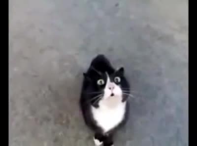 Ненаю)