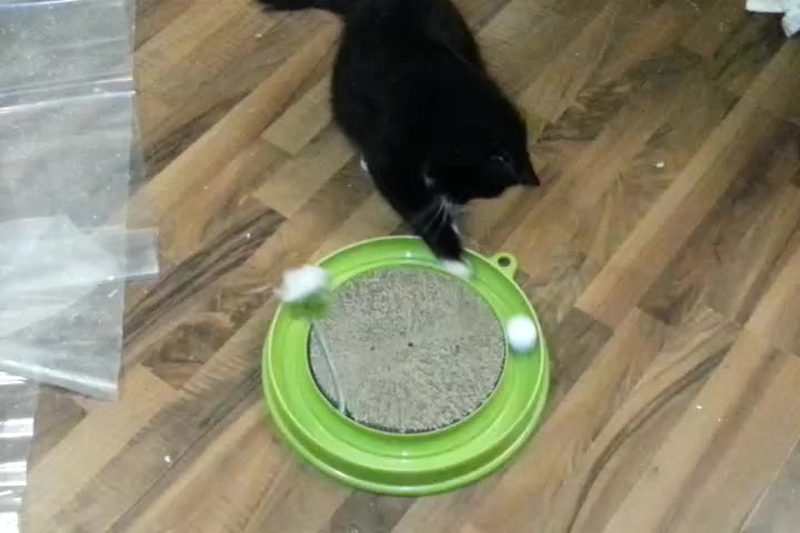Купил своему котэ такую же игрушку. Работает!)))