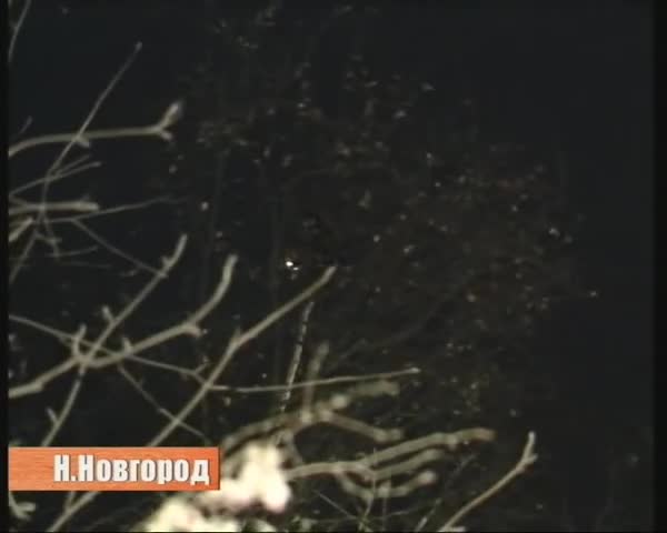 Спасение рядовым Барсика