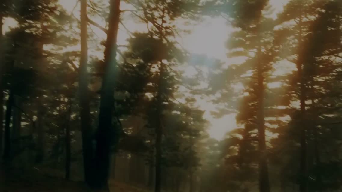 EMAGON trailer