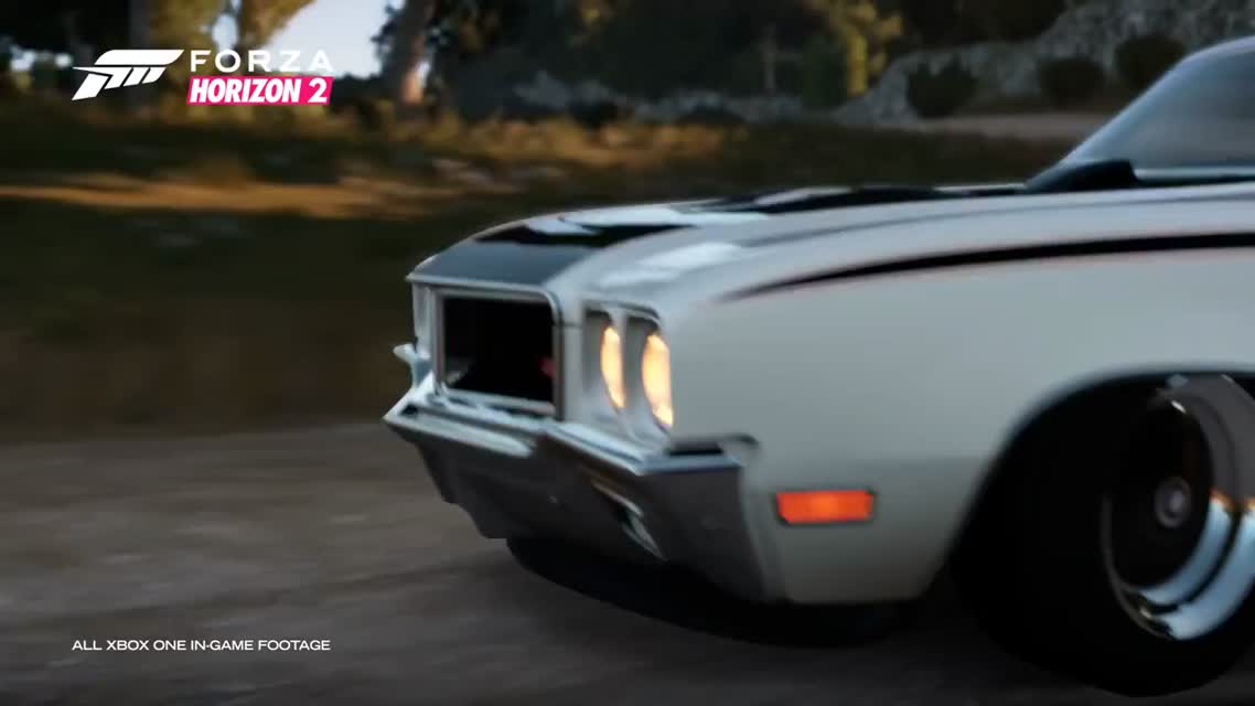Forza Horizon 2 NAPA® Chassis Pack