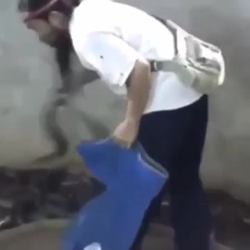 Подумаешь кобра... пффф