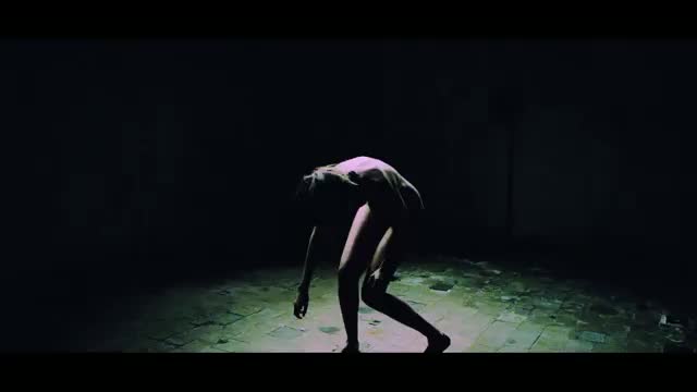 DOLPHIN - QT