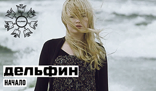 Dolphin - Начало