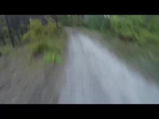 От медведя на велосипеде