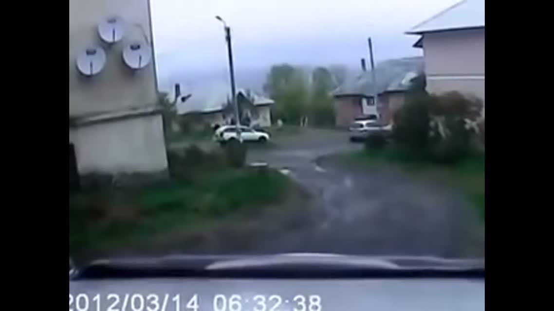 Находка. Кабан напал на людей и получил раковиной по башке.