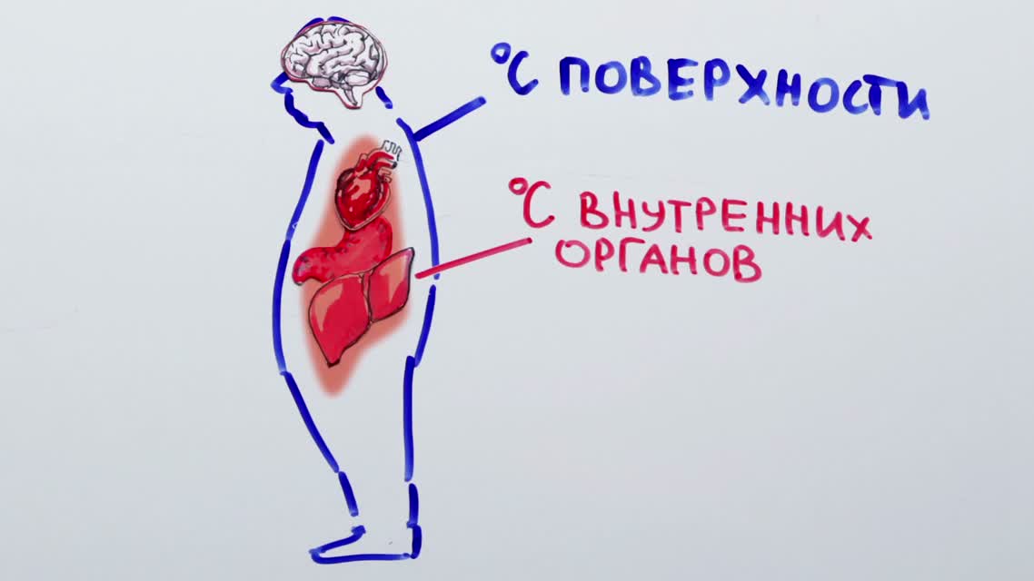 Научпок - Почему язык прилипает к железу и другие зимние вопросы