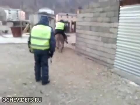 дпс умчался на осле