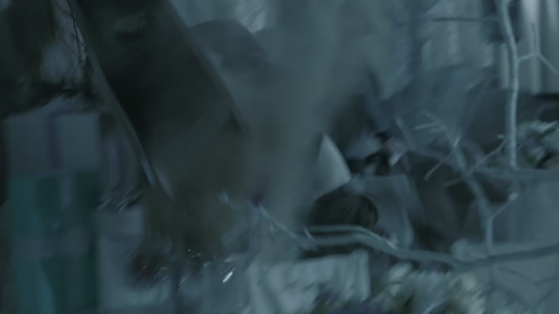 Оставшиеся / The Remaining (2014)