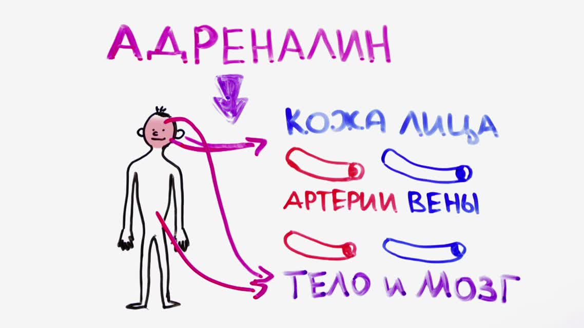 Научпок - Зачем мы краснеем