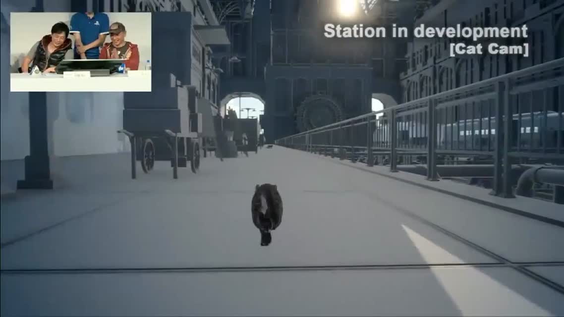 Final Fantasy 15Final Fantasy XV - Cat Gameplay