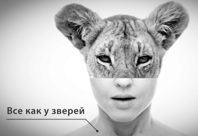 Звериный оскал патриотизма