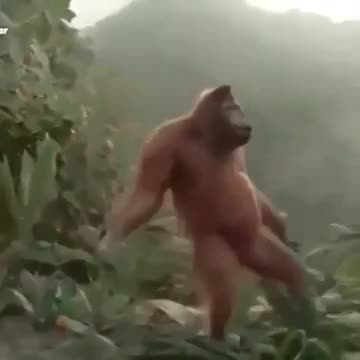 Скоро пятница))))