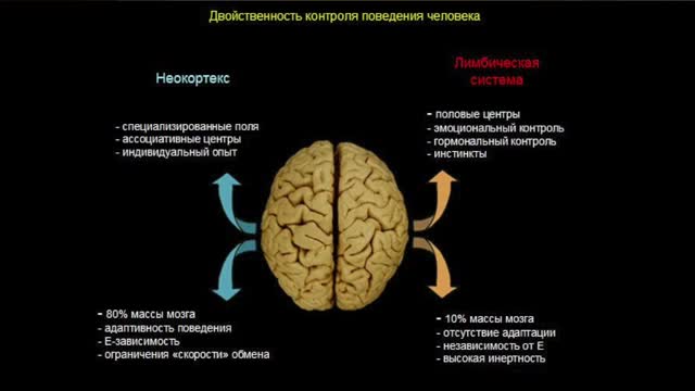 Управление мозгом человека (Познавательное ТВ, Сергей Савельев)