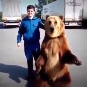 Тима! Фак!