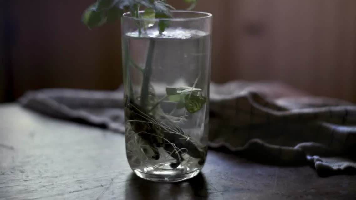James Blake - Limit To Your Love