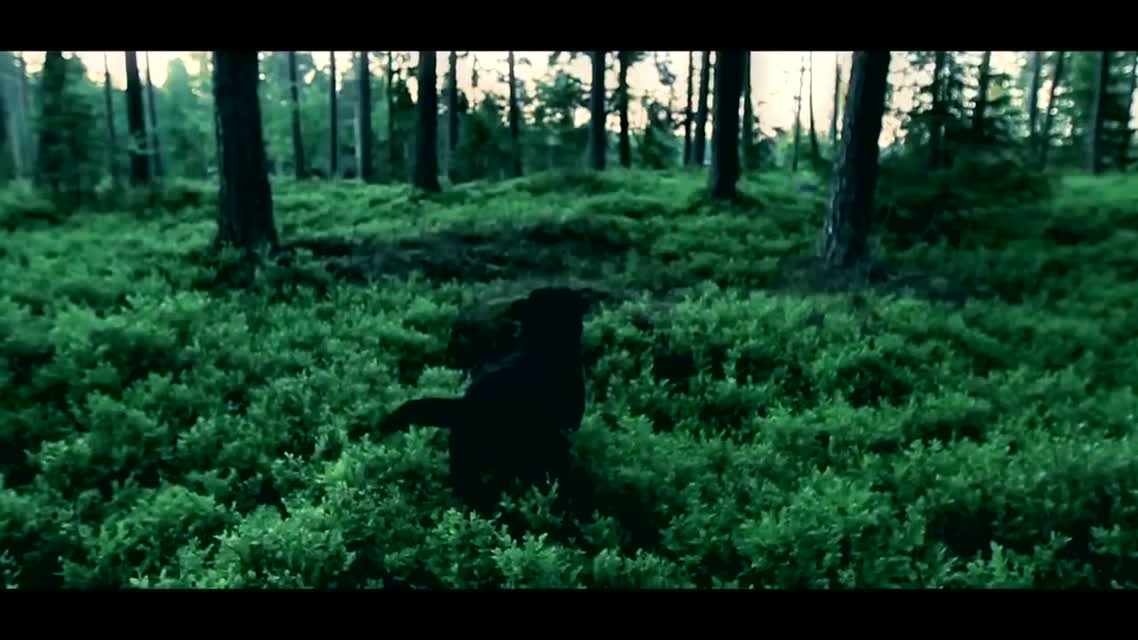 iamamiwhoami - n