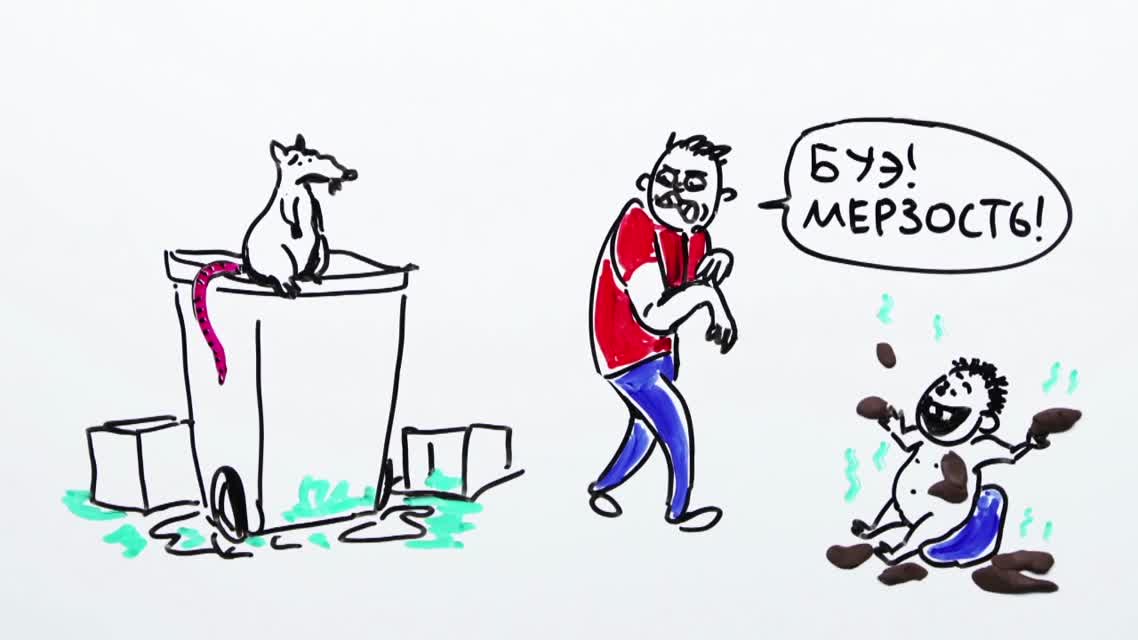 Научпок - Зачем нам чувство отвращения