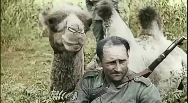1941 Славная яичница!
