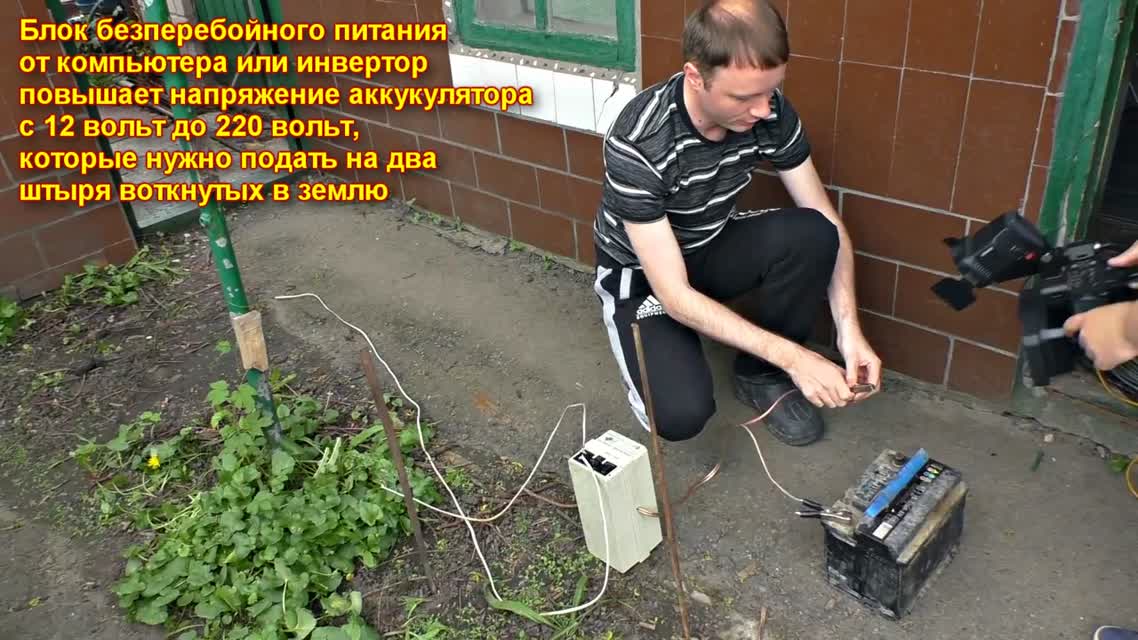 Добыча червей на 220 вольт